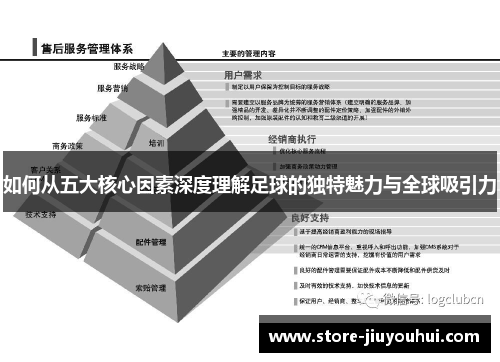 如何从五大核心因素深度理解足球的独特魅力与全球吸引力 如何从五大核心因素深度理解足球的独特魅力与全球吸引力